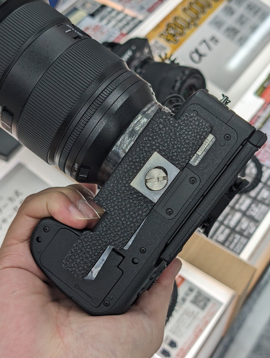 foxfoto on X foxfoto on X