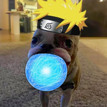 sean-justin tweet media