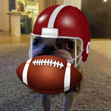 sean-justin tweet media