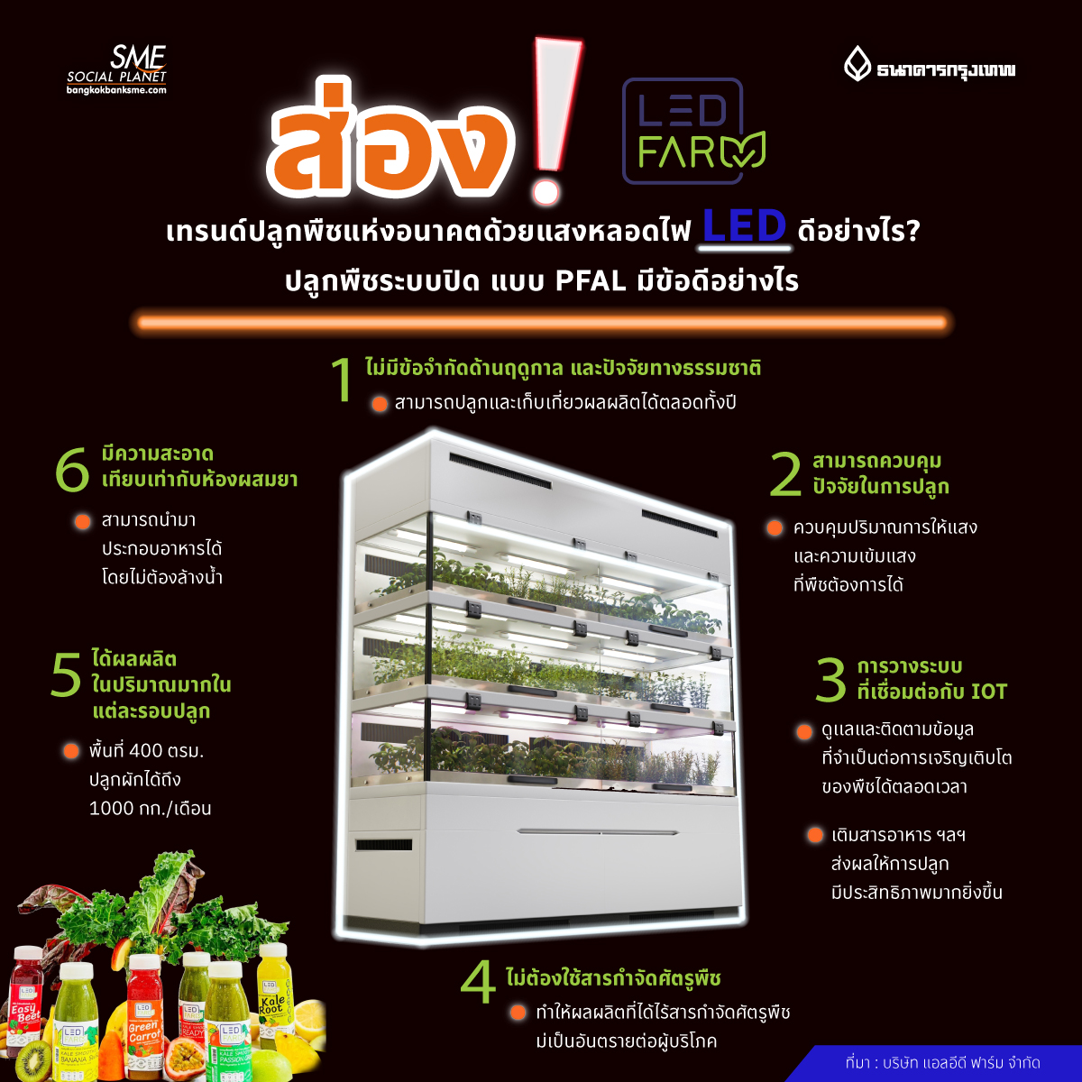 bangkokbanksme's tweet image. 🟦🟠 ส่อง! เทรนด์ปลูกพืชแห่งอนาคตด้วยแสงหลอดไฟ LED ดีอย่างไร?
.
Plant Factory With Artificial Lighting หรือที่เรียกว่า PFAL 
.
ลิงก์บทสัมภาษณ์
bangkokbanksme.com/en/led-farm
.
🔘 ติดตามรายละเอียด : bangkokbanksme.com/en/infoled-farm
.
#LEDFarm #แอลอีดีฟาร์ม #PFAL #Tranforms #ปลูกพืชด้วยหลอดไฟ