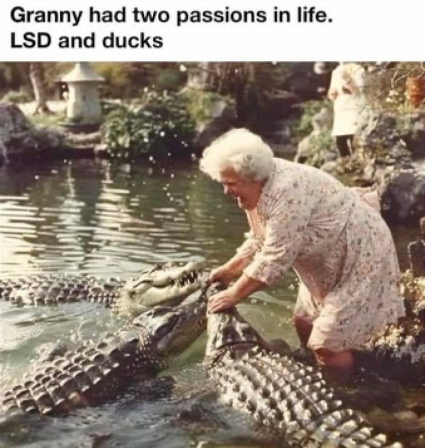 CydneePow (@cydneepow) on Twitter photo 