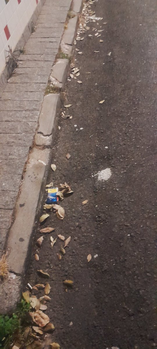 izahc1410's tweet image. Esses. dois homens vestidos com roupa de gari, passava na minha rua, pedido dinheiro para completar a marmita, sem varrer. pedi o crachá, no qual não tinha, eu abri uma reclamação no 156,  a resposta da #prefsp foi a pior. #locat #saopaulo #eleicoes2024 #golpe #sp1