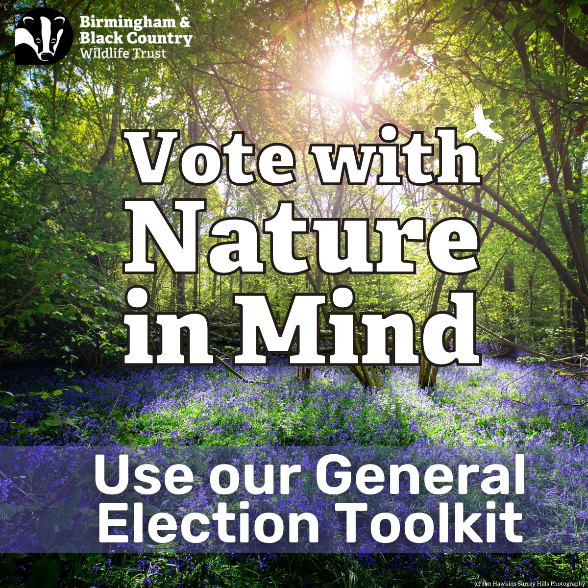 With a natural world in crisis, there has never been a more important election to ensure a wilder future.

From a form to contact your candidates to thoughts on each party's manifestos, use our General Election Toolkit to help you vote with nature in mind: bbcwildlife.org.uk/GeneralElectio…