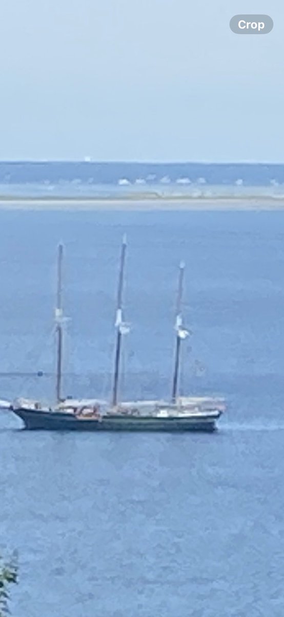 Daniel Linskey tweet media