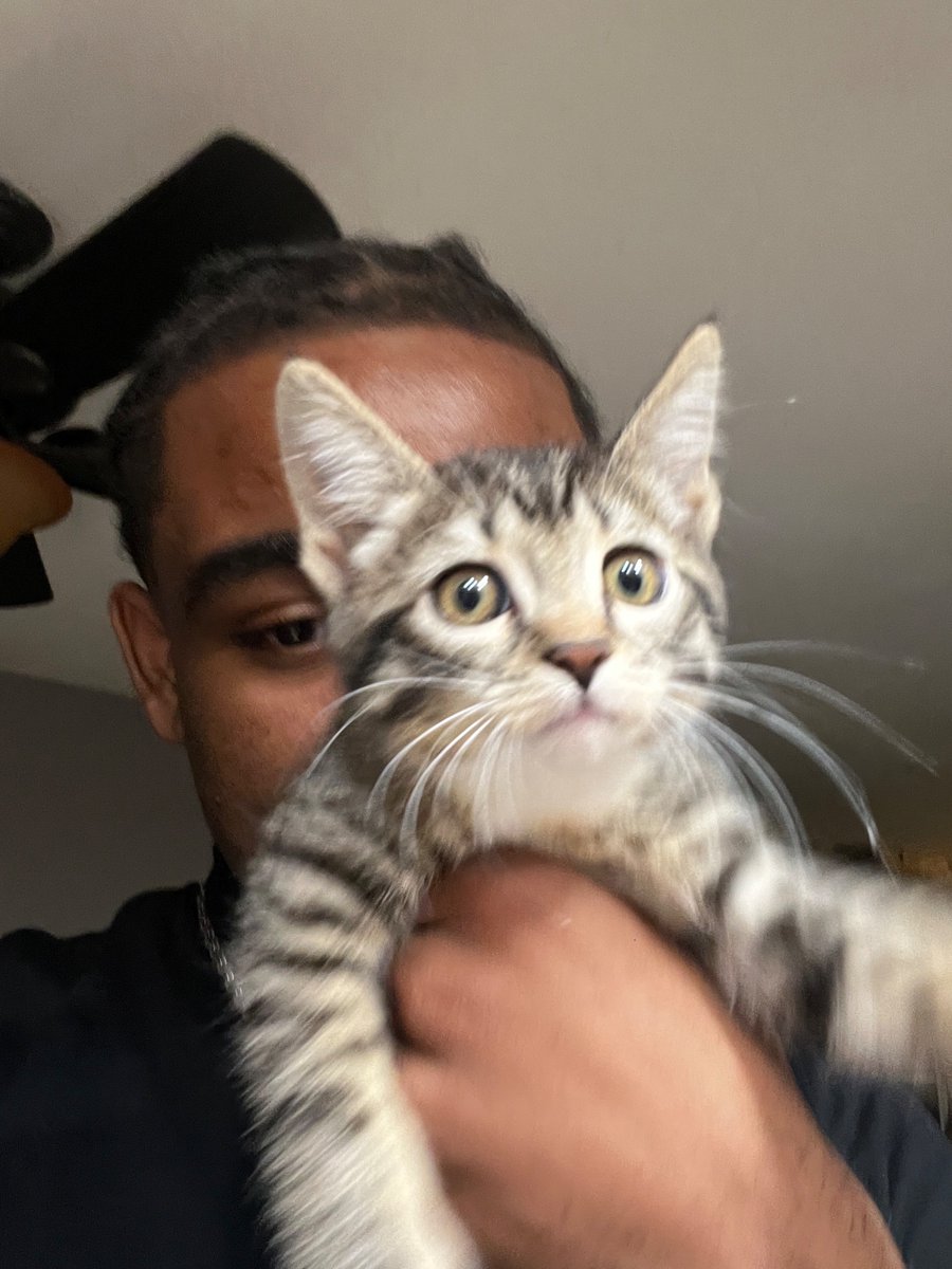 KILLINGMYFEARS's tweet image. #lately