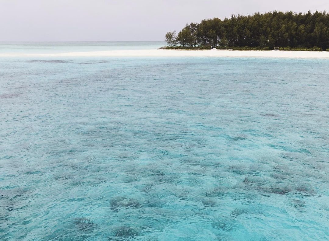 UbaloziJapan's tweet photo. Only in Tanzania 🇹🇿
Zanzibar!
The leading beach destination in Africa🌍🏝️

#VisitTanzania
#VisitZanzibar
#BestBeachDestination https://t.co/xrq260lku7