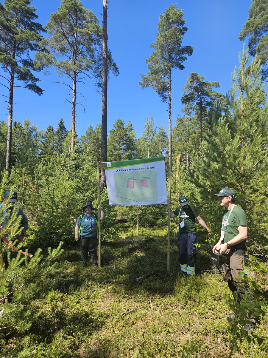 Andi Wilson, PhD | Bluesky: drandiwilson tweet media