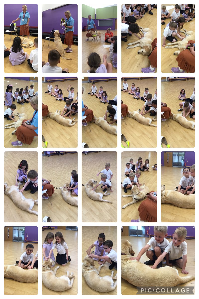 Miss Finn tweet media