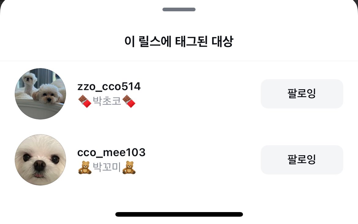 깜톨 tweet media
