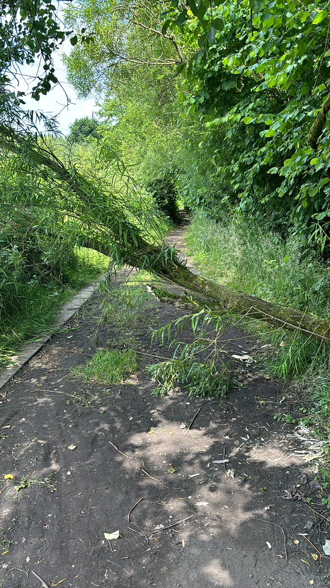 stuarcher's tweet photo. Tree down on the old canal path near to sailing club. Blocking the path @BuryCouncil #burycouncil https://t.co/iPwpNENSiz