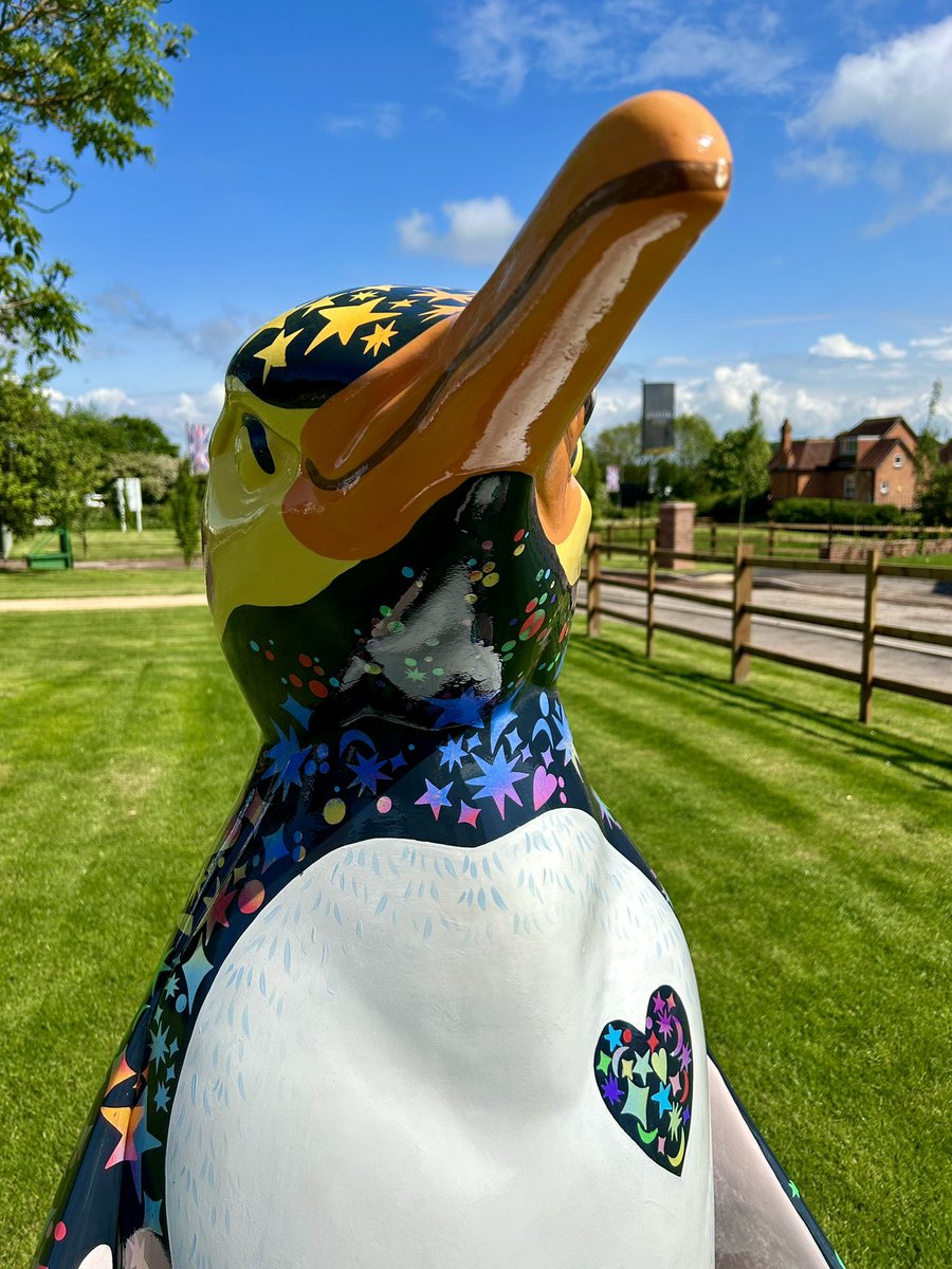 Spirit here is perfecting his pen-grin ready to meet you all in Worcester from 22 July!

We can’t wait to see your sunny selfies with our happy huddle of 80 penguins.

Who’s as excited as we are? #WorcestershireHour