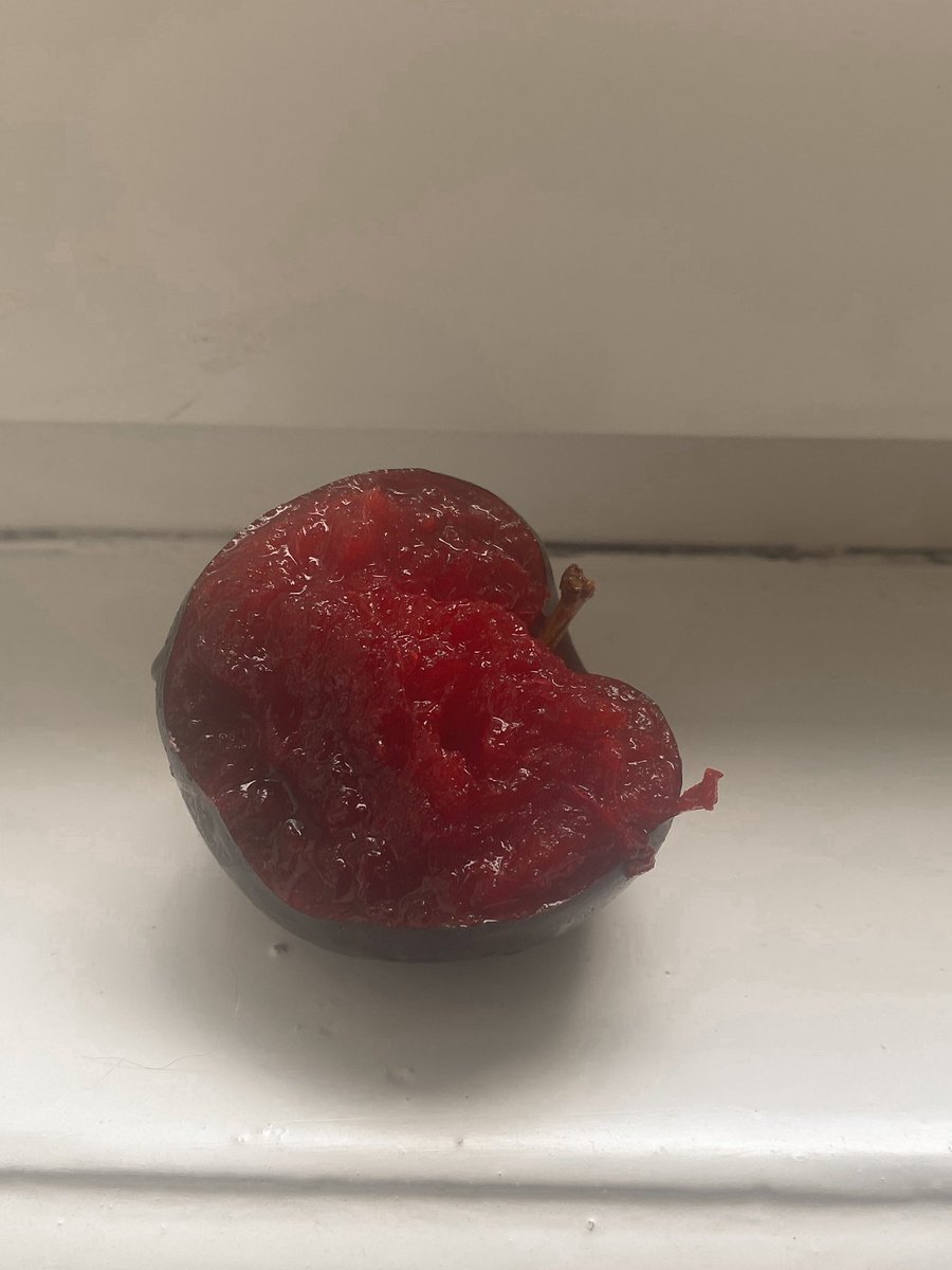 🎪lucien🎪 tweet media