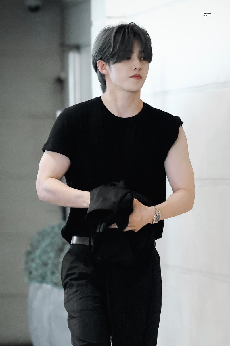choi seungcheol sir?! 🫠