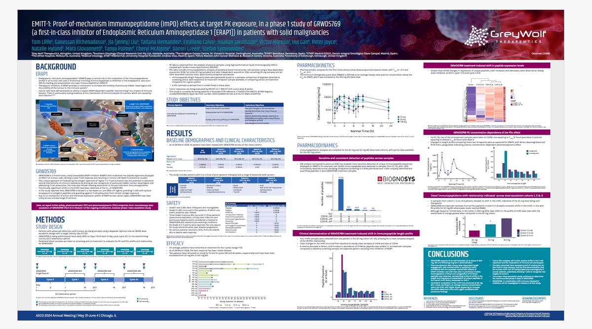 biognosys's tweet photo. Our collaborator Grey Wolf Therapeutics showcased a poster at #ASCO2024 on immunopeptidome modulation with the ERAP1 inhibitor GRWD5769. #TrueDiscovery® and #TrueSignature® enabled comprehensive analysis - crucial for phase II dosing. Download now! https://t.co/Ij1AW8g6D6 https://t.co/atQuwP0JI4