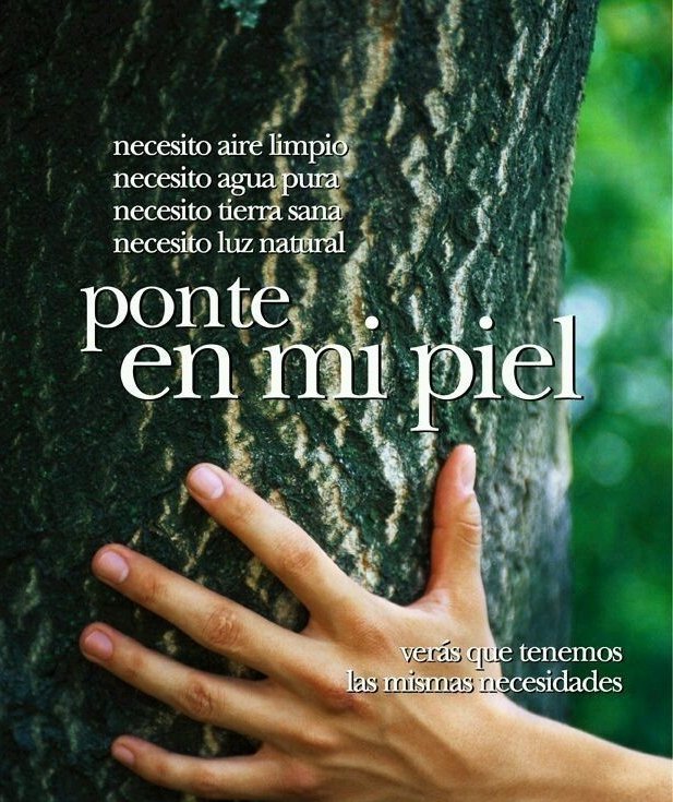 parragagraciela's tweet photo. Día Internacion de la Preservación de los bosques tropicales.
#NoALaDeforesración https://t.co/IShgasiY79