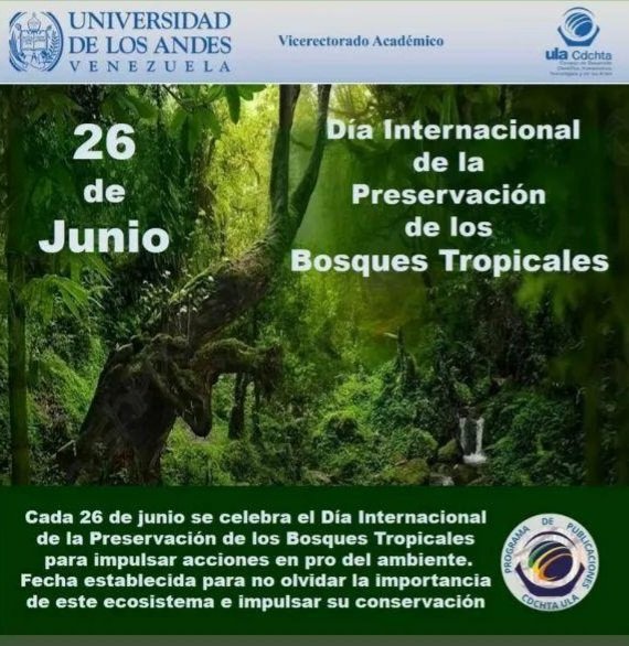 parragagraciela's tweet photo. Día Internacion de la Preservación de los bosques tropicales.
#NoALaDeforesración https://t.co/IShgasiY79