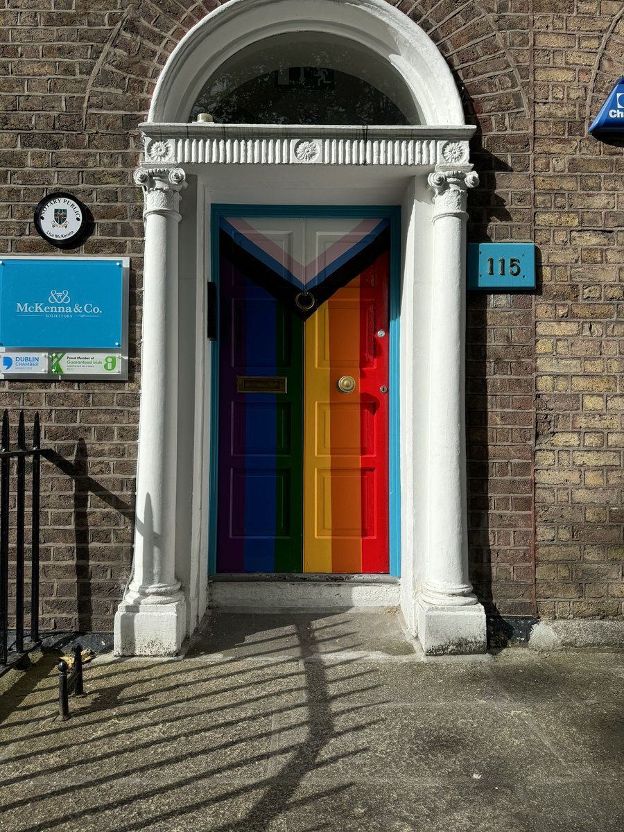 conall's tweet photo. @jennski This aligns with your interests. Georgian Dublin door has upped it's game https://t.co/r1CsrD3E1T