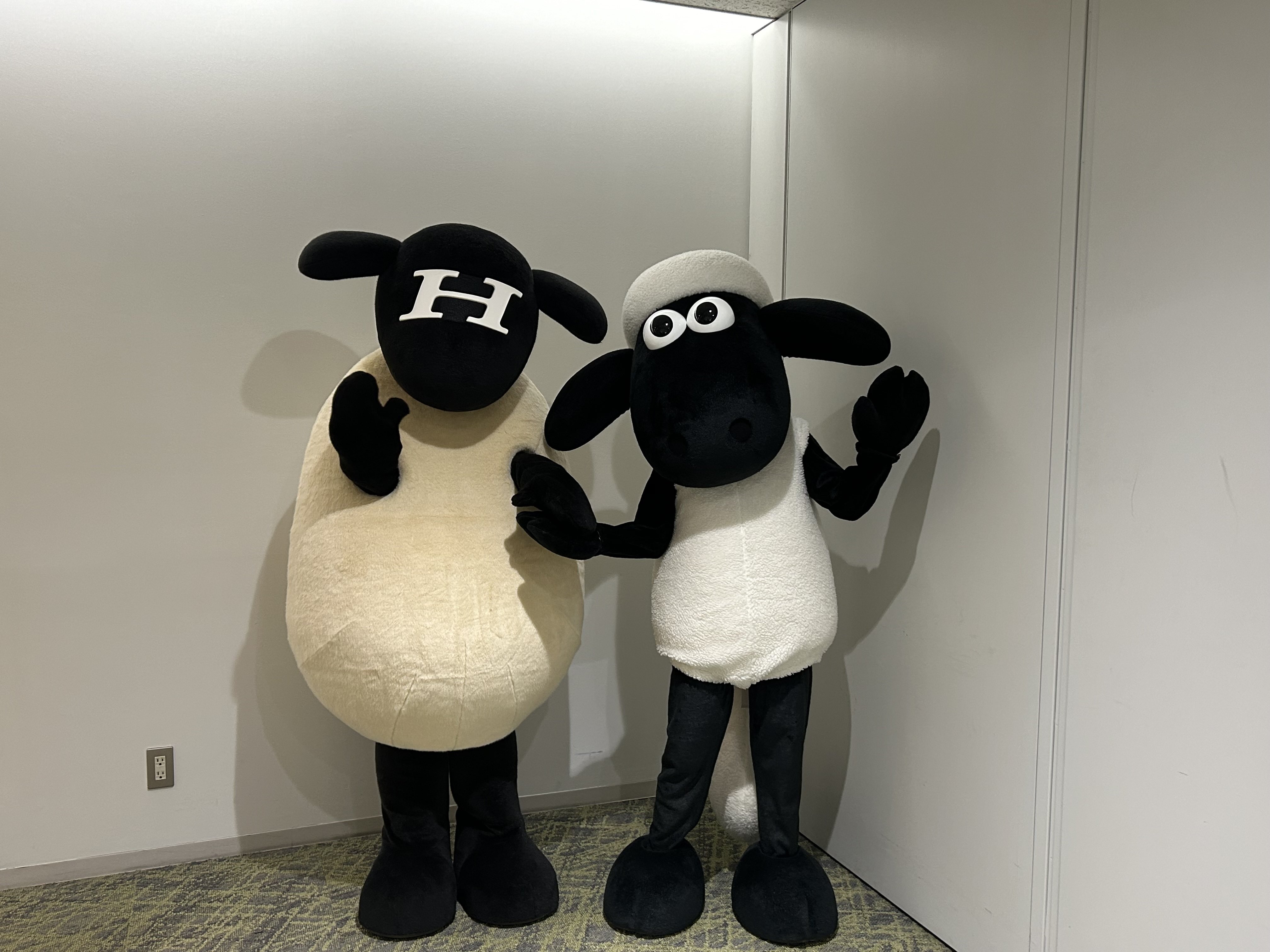 GQ_3caUbYAAnGqx?format=jpg&name=4096x4096