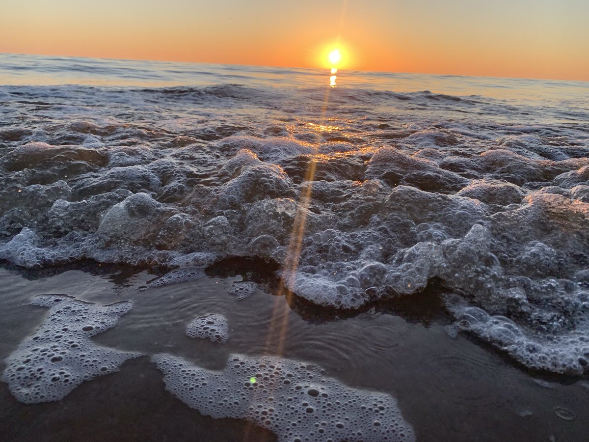 sigridbekkema's tweet image. 