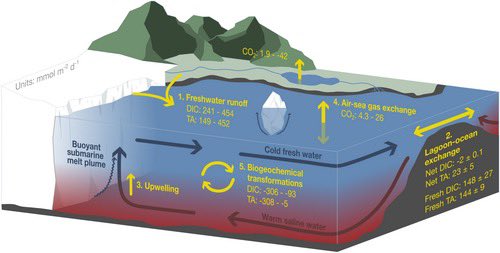 Wilma Ljungberg tweet media