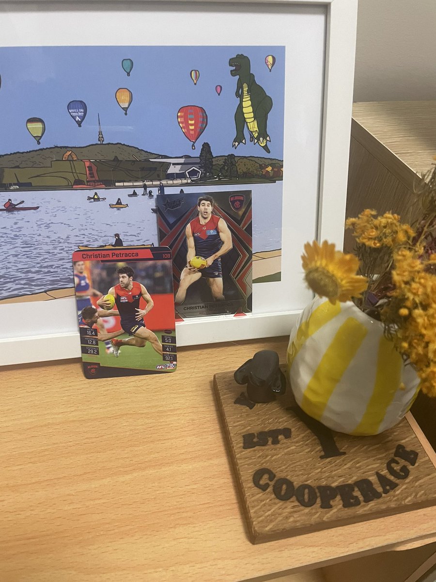 MRS___DC's tweet photo. The Petracca Shrine- as mentioned on @HatChatAFL lives spaces tonight…. 

PS- @DunkleysDonuts can you please send me a Papley card if you get one? 👏

#AFL #AFLFantasy #HatChat https://t.co/pYlvgBfXKz