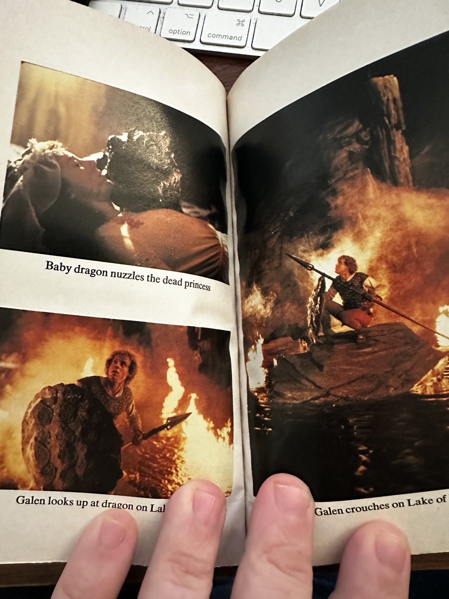 TimothyImholt's tweet image. Anyone remember the movie DragonSlayer? How about the movie tie in paperback book with some color stills.  #book #paperbackbook #paperback #cinemalover