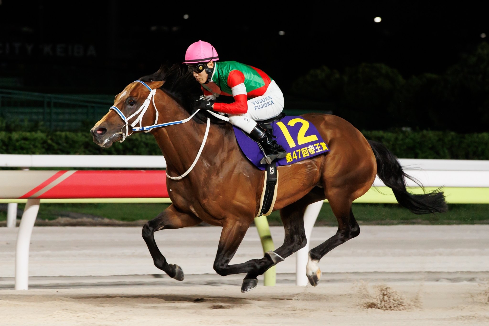 地方競馬全国協会(NAR)公式 on X: 