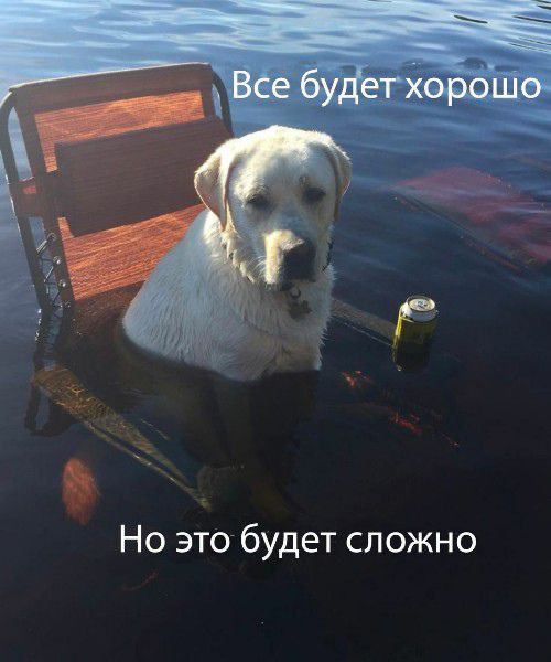 everything will be fine

but it's gonna be hard