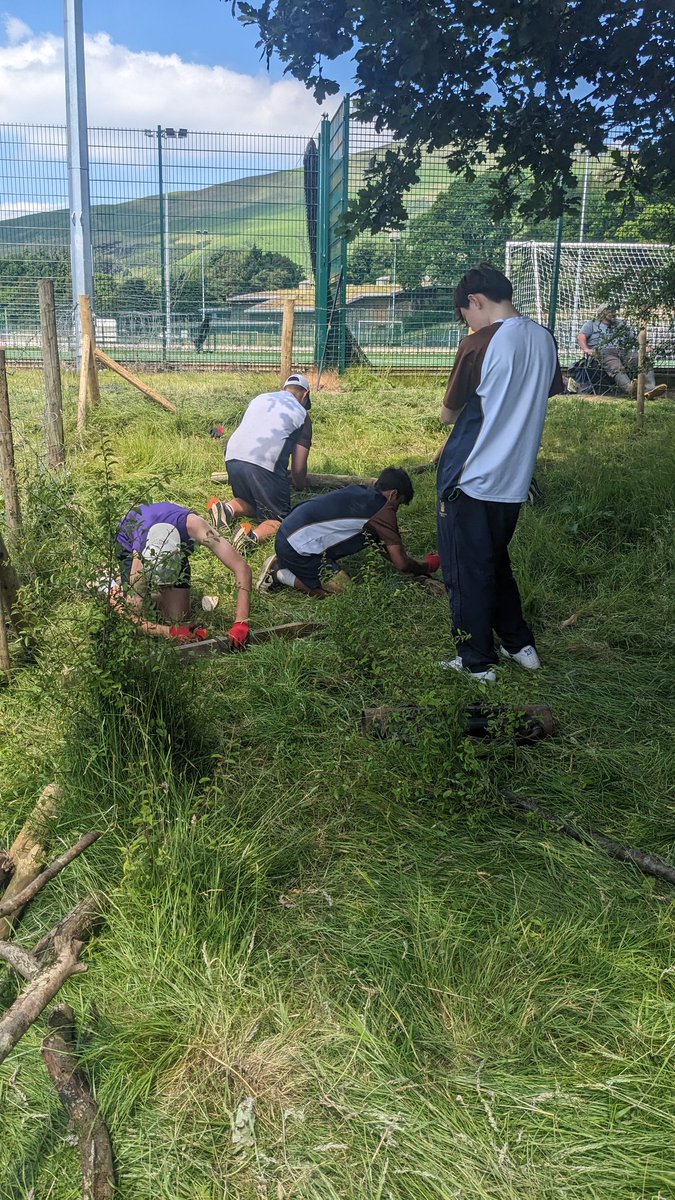 We're repurposing old fence posts to make a bug hotel. Yr 10 added to their fencing skills to cut logs, posts and previously copied wood to length to make a suite fit for a queen bee!!
