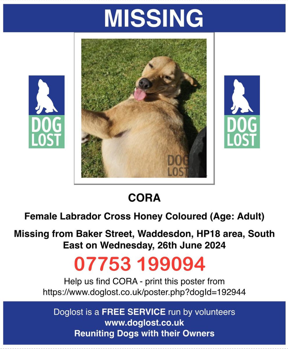rosiedoc666's tweet image. CORA * MISSING
#WADDESDON, #HP18
since escaping garden 10am, last seen 11.30am near Waddesdon Manor grounds 26/6/24 
PLS DO NOT CALL, CHASE OR TRY TO CATCH - NERVOUS GIRL!!!
#Labrador x HONEY coloured 
doglost.co.uk/dog-blog.php?d…
@WMGardeners @WaddesdonPC @JacquiSaid @thedogfinder