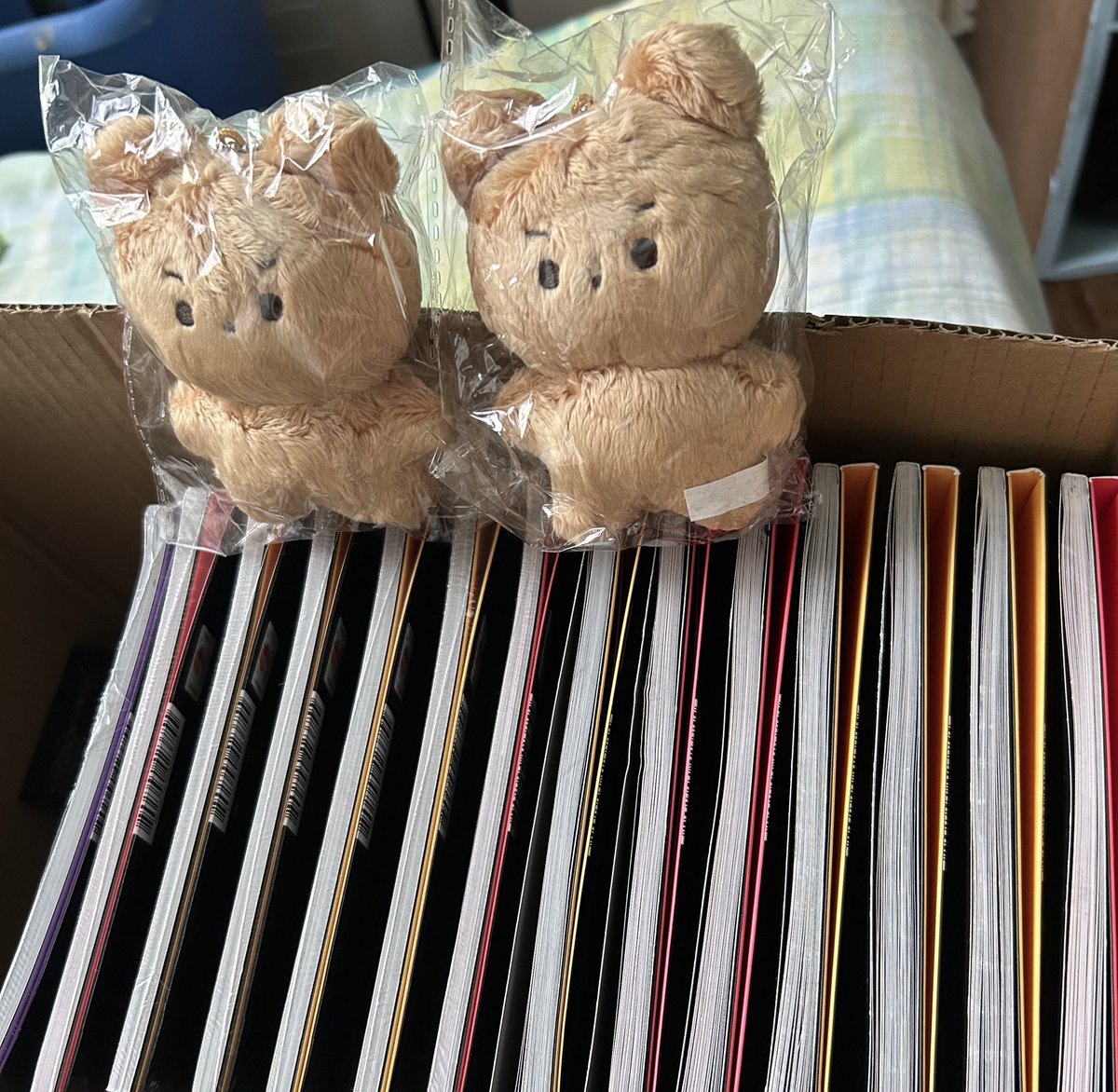 colacarts's tweet photo. it's been a while 🥹 but i'm putting up these remaining items for sale if anyone would still be interested

wts lfb ph onhand
the boyz tbz hyunjae dalgom doll (unopened) - 600 ea
kep1er first impact album set (7 sealed, 7 unsealed) - 500 for all 14 albums

reply/dm to claim 🩷 https://t.co/VHioKfmJNR