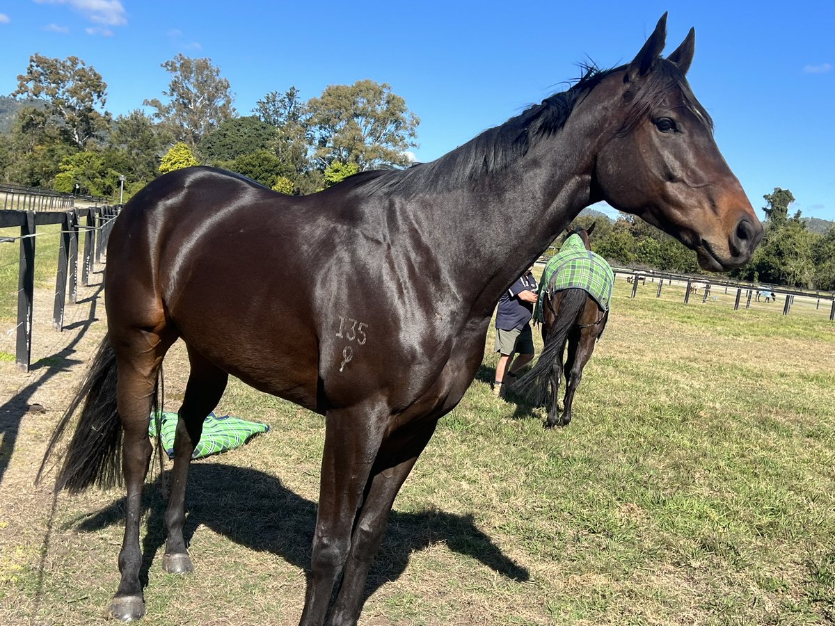 Team Graham Racing tweet media