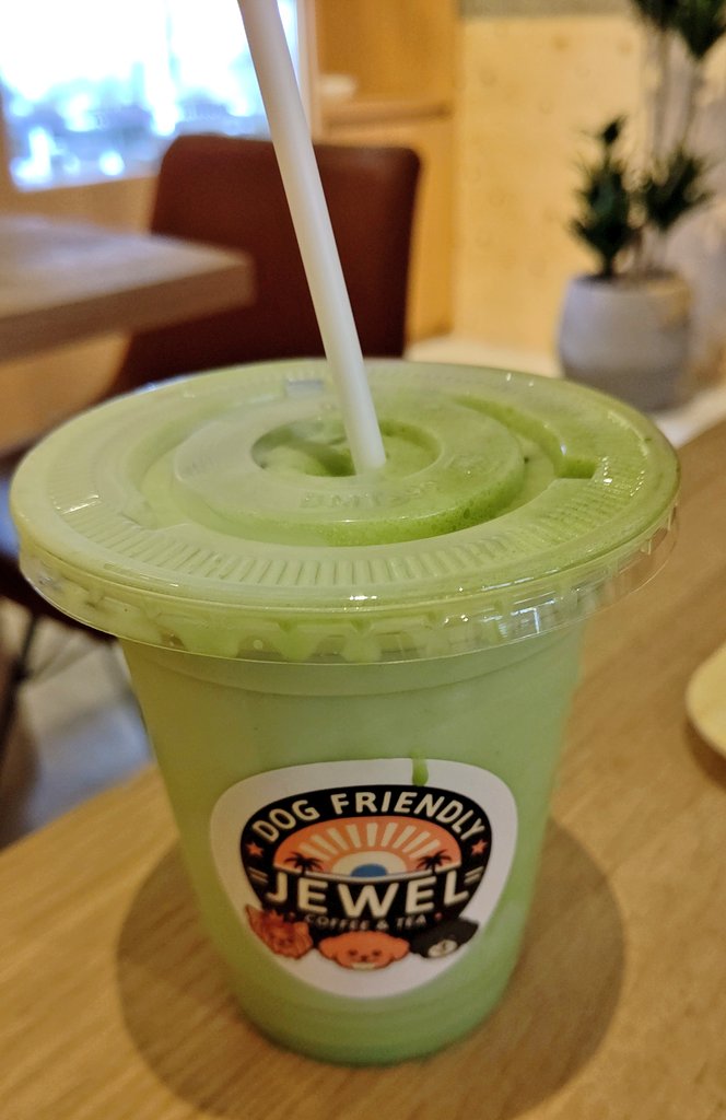 Dog Friendly JEWEL COFFEE & TEA に行ってきました😍✨ 中間淳太くん