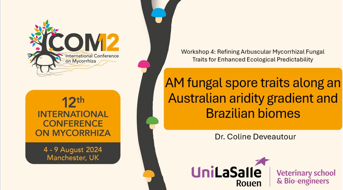Are you ready for this? #ICOM12
Since I'll be on maternity leave, I am recording my participation. Hope you will still enjoy my talk on spore traits!