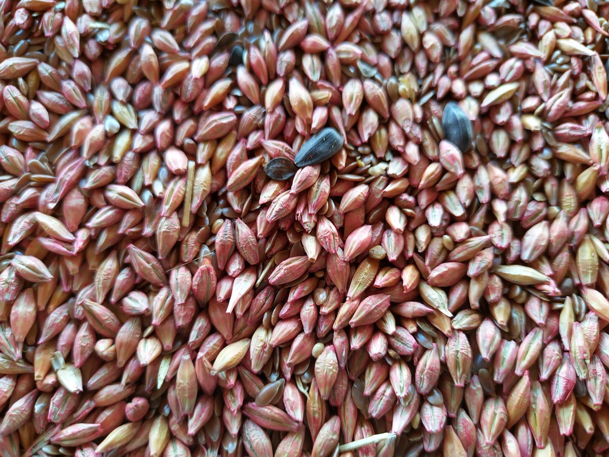 Richard Hinchliffe tweet media