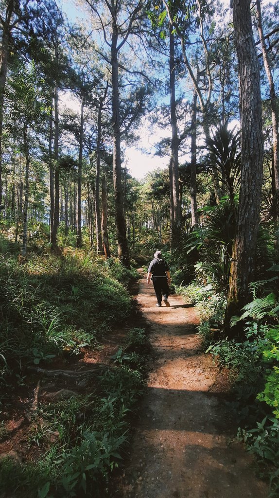 navyw1tch's tweet photo. went hiking with my love last week 🌲🌿🍃💕✨️ https://t.co/zThUF4WgDv