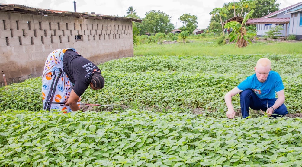 UNFPA_SYP's tweet photo. It's incredible to see young people with disabilities breaking barriers and inspiring us all. 

Your determination and strength are changing the world.

Read about #UNFPASYP's work in #Tanzania🇹🇿:
https://t.co/vuxfrfj3QU https://t.co/6wQRyfer9Y