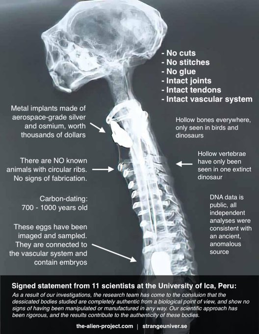 MerseyTrades's tweet photo. #FunFact : #NazcaMummies confirmed as ancient British politicians. The 'hollow vertebrae' they once had un-evolved in to what is now referred to as 'spineless'. #UKelections #GeneralElection #Tories #Labour #Science #AustinPrincess https://t.co/elsE05t97V