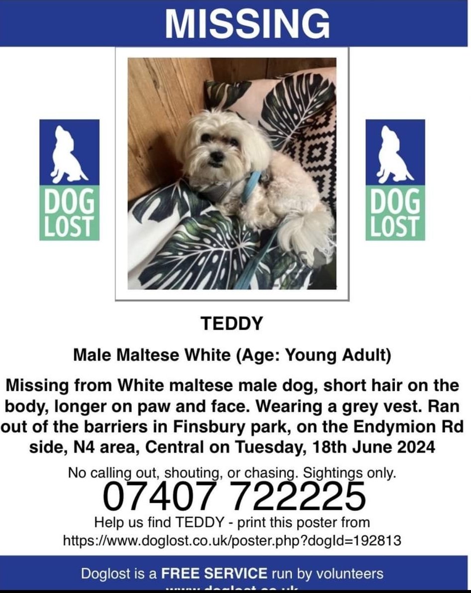 TEDDY, missing from Finsbury Park, London N4

Teddy's owner is devastated💔

"No word of a lie, my dad has gone into depression, we didn't eat or sleep for 4 days.
He isn't well, when Teddy went missing, because my dad was the one walking him, he felt the most affected."