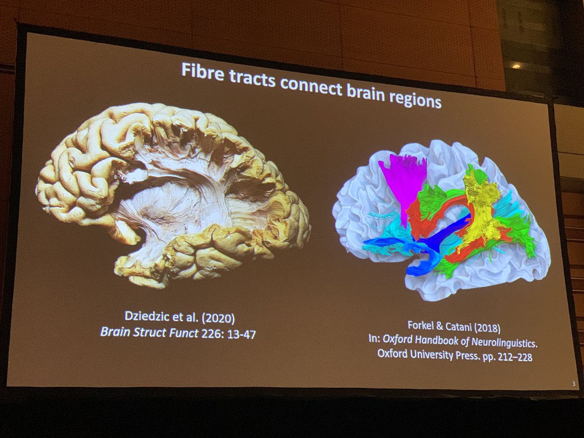 YingYing tweet media