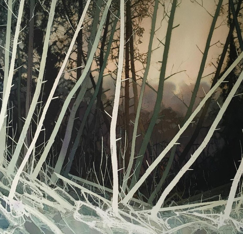 The Lake Artists Society tweet media