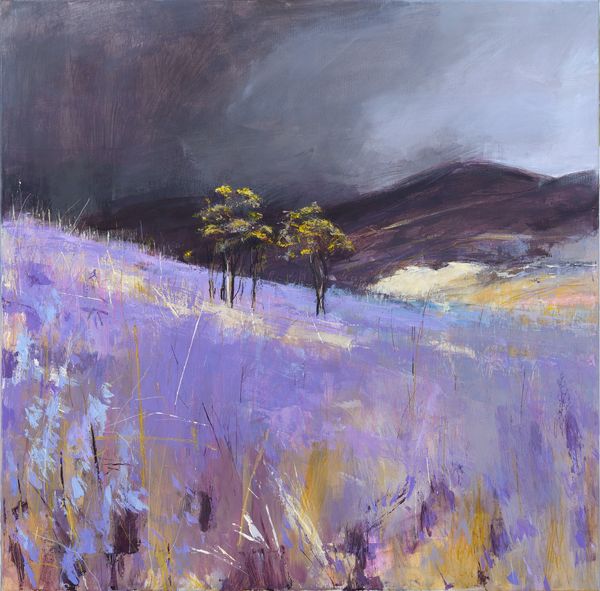 The Lake Artists Society tweet media