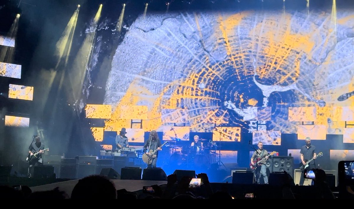 Sarah-Anne 🏴󠁧󠁢󠁷󠁬󠁳󠁿 tweet media