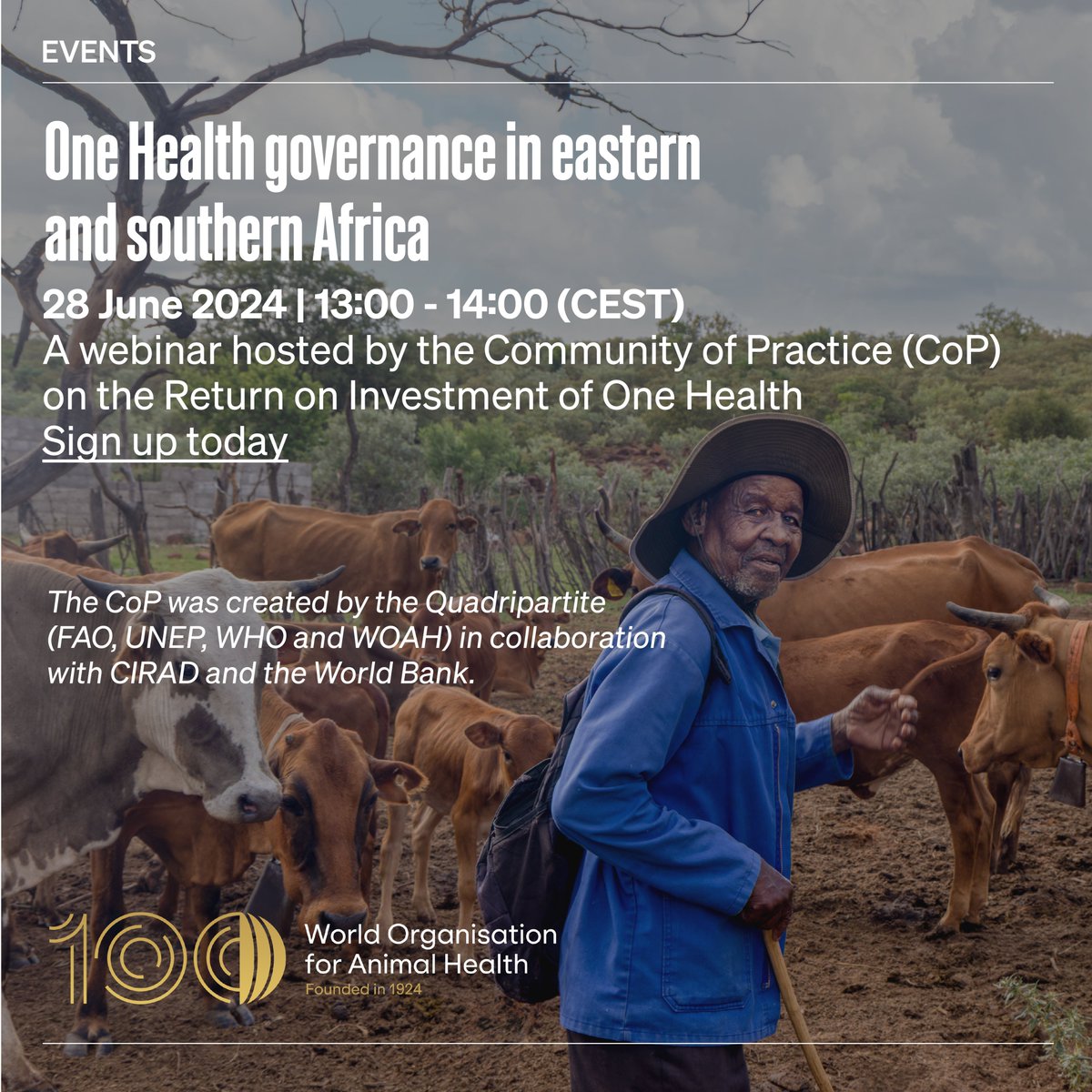 The Community of Practice on the Return on Investment of One Health is hosting a webinar about the different One Health governance structures and approaches in eastern and southern Africa to inform One Health investment planning. Register for the webinar: fao.org/one-health/res…