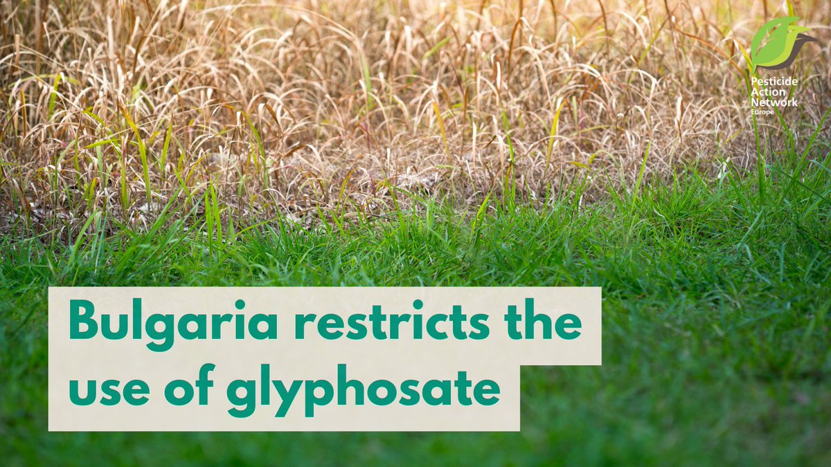 The use of #glyphosate will partially be banned in Bulgaria 🇧🇬. It will no longer be available in areas used by the general public, public parks, gardens, sports and recreation grounds, school and children's playgrounds, as well as near health and educational facilities.