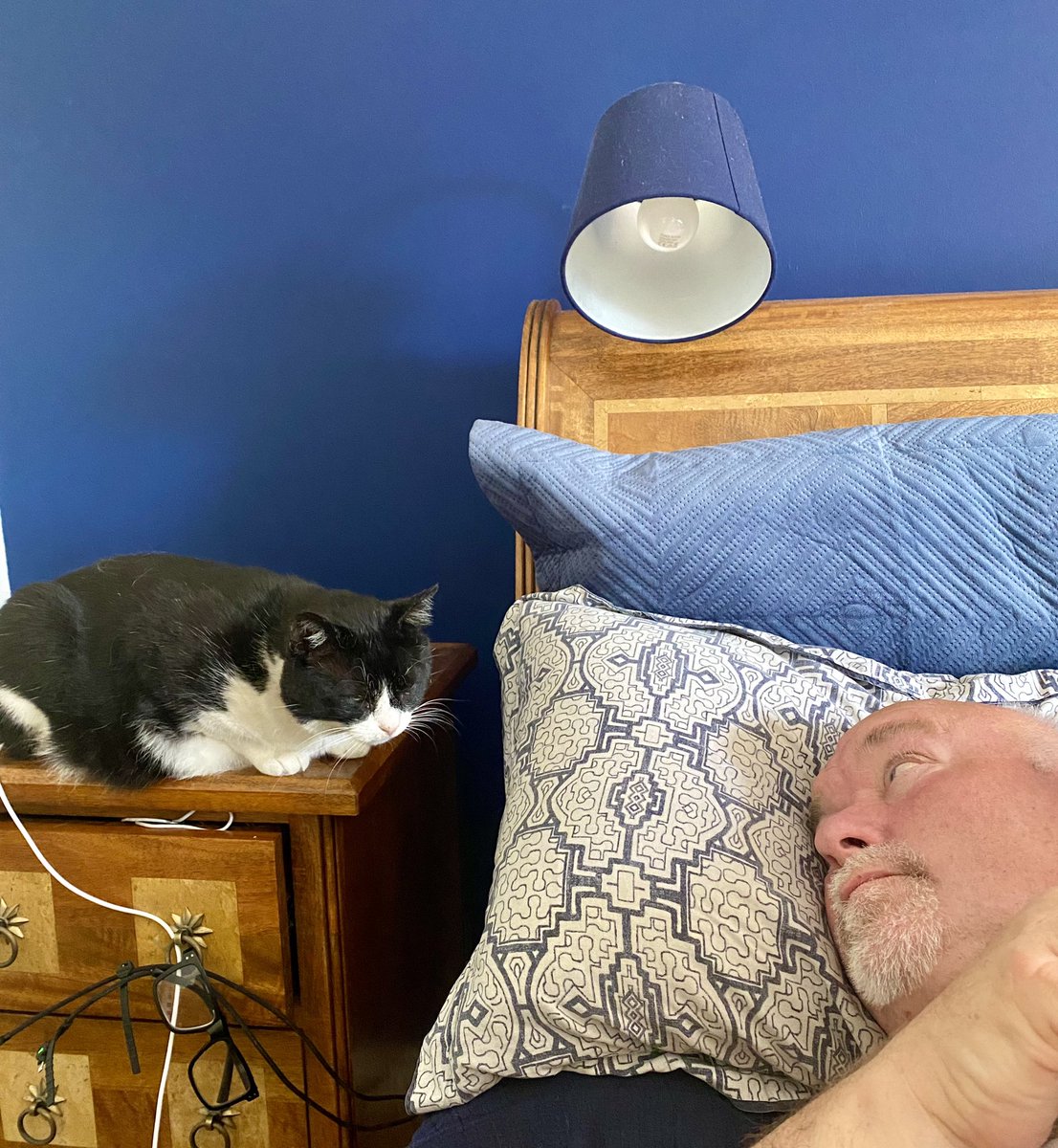SpanielsSuper's tweet photo. Dad?
Yes PussPuss?
Are you going to lie there all day?
Why?
Because it’s time you got up & sorted my breakfast?
Ok PussPuss coming!
#BeRightWithYou
#PussPutin https://t.co/okcGWLqmyX