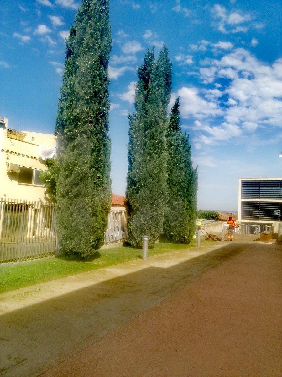 Comencem setmana al MAU endreçant les zones enjardinades de la placeta de Marc Vitrubi què dóna accés al museu.