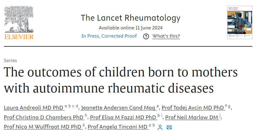 ERN ReCONNET 🇪🇺 tweet media