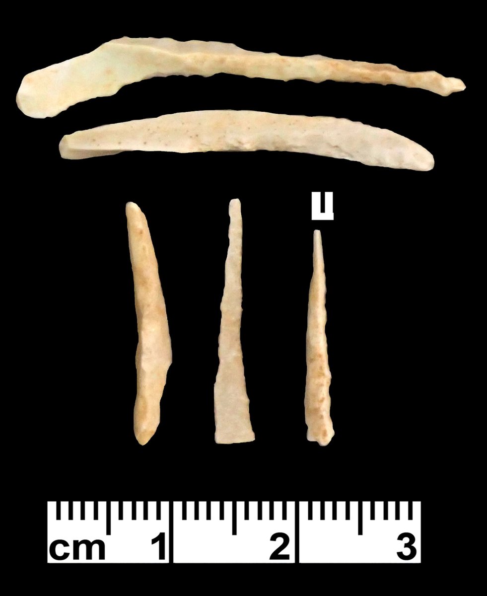 Not a place for respectable people, but the
ends of the earth converge there: insights
from Wisad Pools into the nature and context
of Jordan’s Black Desert Neolithic, by A. Wasse et al. 
Are there connections between Wisad Pools and Neolithic Arabia?
Image — drills from W-400