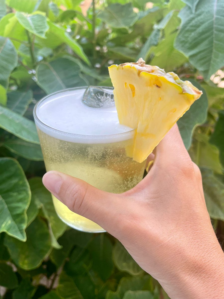 Tea10_Store's tweet image. #FelizMiércoles Hoy el día se empieza con un buen desayuno y la mejor bebida: Té frío de piña jengibre y regaliz😍

¡Pide el tuyo y empieza a disfrutar!
tea10.store/tes-tradiciona…